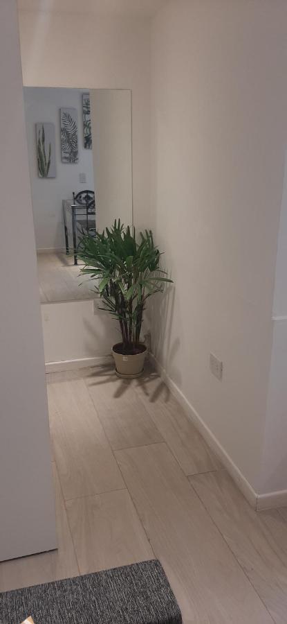 Coqueto Loft Palermo Hollywood Lägenhet Buenos Aires Exteriör bild